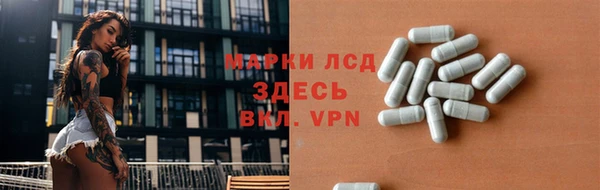 гашик Арсеньев