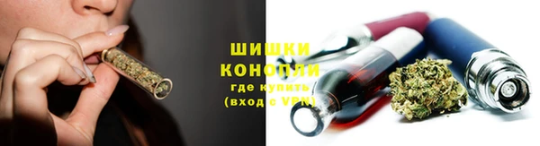гашик Арсеньев