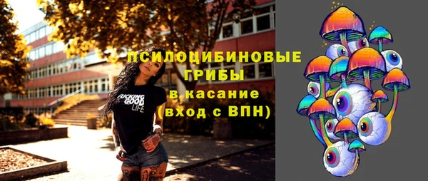 гашик Арсеньев