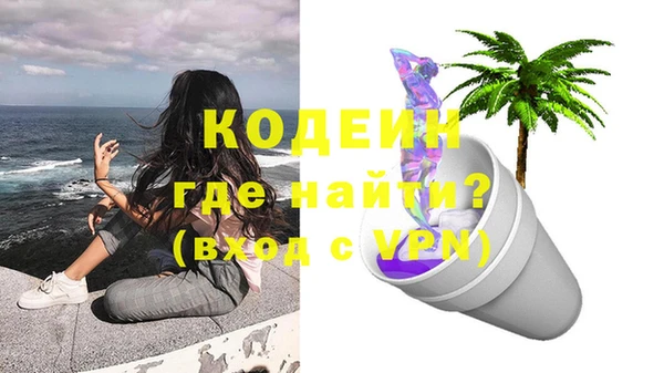 гашик Арсеньев