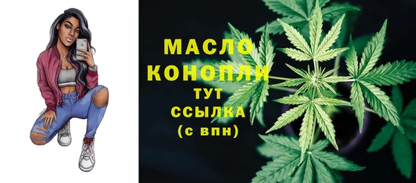 гашик Арсеньев